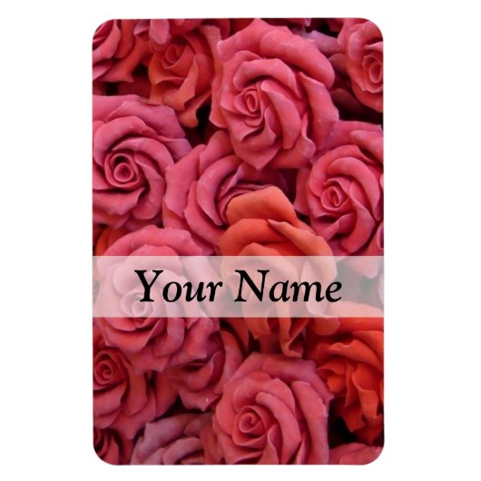 Rosa Rose Magnet (Vertikal)