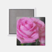 Rosa Rose Magnet (Vorderseite/Rückseite)