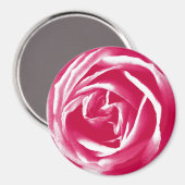 Rosa Rose Magnet (Vorderseite/Rückseite)