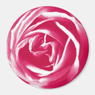 Rosa Rose Magnet