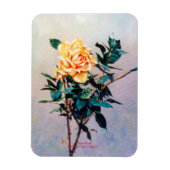 Rosa/Rose Magnet (Vertikal)