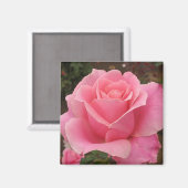 Rosa Rose Magnet (Vorderseite/Rückseite)