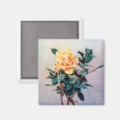 Rosa/Rose Magnet (Vorderseite/Rückseite)