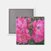 Rosa Rose Magnet (Vorderseite/Rückseite)