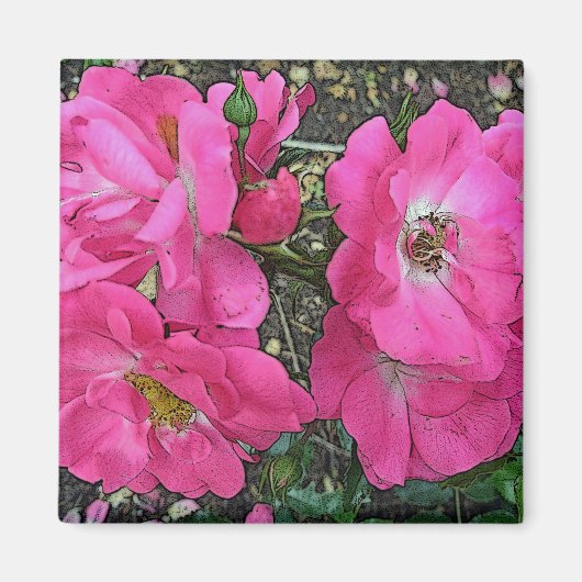 Rosa Rose Magnet (Vorne)