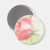 Rosa Rose Magnet (Vorderseite/Rückseite)