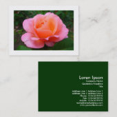Rosa Rose, Mini-Foto Visitenkarte (Vorne/Hinten)