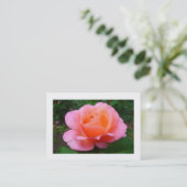 Rosa Rose, Mini-Foto Visitenkarte (Stehend Vorderseite)