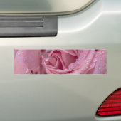Rosa Rose mit Dewdrops Autoaufkleber (Auf Auto)