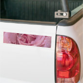 Rosa Rose mit Dewdrops Autoaufkleber (Auf Lkw)