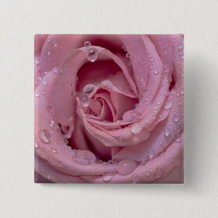 Rosa Rose mit Dewdrops Button