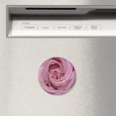 Rosa Rose mit Dewdrops Magnet (In Situ (Geschirrspüler))