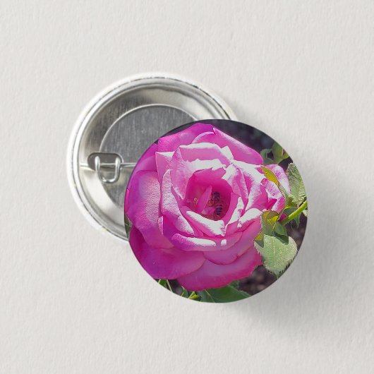 Rosa Rose mit einem Bienenknopf Button (Vorne & Hinten)
