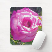 Rosa Rose mit einem BienenMaus-Pad Mousepad (Mit Mouse)