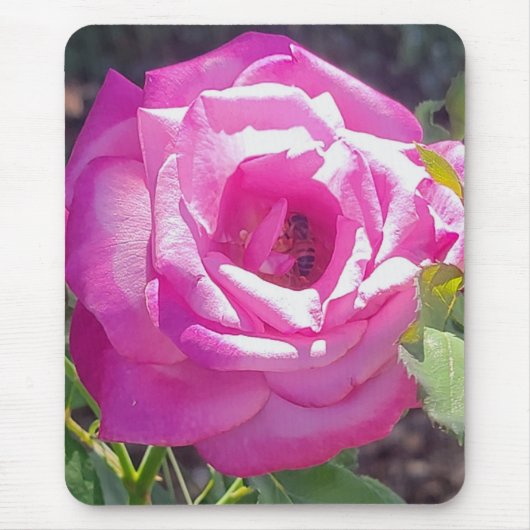 Rosa Rose mit einem BienenMaus-Pad Mousepad (Vorne)