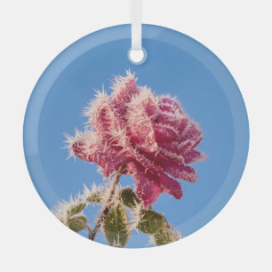 Rosa Rose mit Eisfrost in kalter Winternatur - Ornament Aus Glas