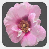 Rosa Rose mit Lila Herz - Ölgemälde Quadratischer Aufkleber (Vorderseite)