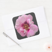 Rosa Rose mit Lila Herz - Ölgemälde Quadratischer Aufkleber (Umschlag)