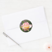 Rosa Rose mit Lila Wisteria-Aufkleber Runder Aufkleber (Umschlag)