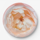 Rosa Rose mit rosa Blüte Pappteller (Vorderseite)