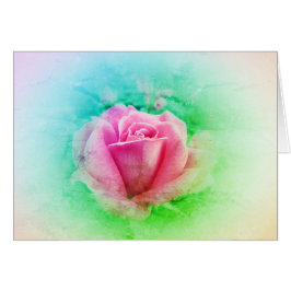 Rosa Rose mit Rosa und Weiß - grünes Blatt