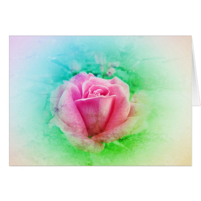 Rosa Rose mit Rosa und Weiß - grünes Blatt (Vorderseite (Horizontal))