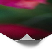 Rosa Rose mit Schneeflocken Poster (Ecke)