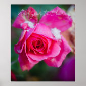 Rosa Rose mit Schneeflocken Poster (Vorne)