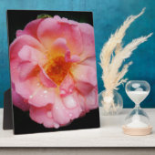 Rosa Rose mit schwarzem Hintergrund/ Taubenschlag Fotoplatte (Seite)