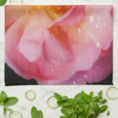 Rosa Rose mit schwarzem Hintergrund/ Taubenschlag Küchentuch (Gefaltet)