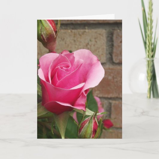 Rosa Rose mit Ziegeln Karte (Vorderseite)