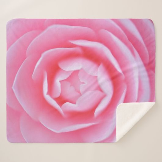 Rosa Rose (Mittel) Sherpadecke (Vorderseite (Horizontal))