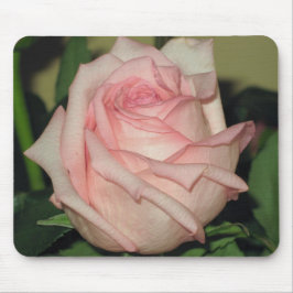 Rosa Rose Mousdepad Mousepad