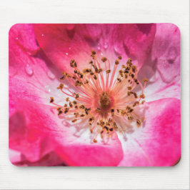 Rosa Rose Mousepad