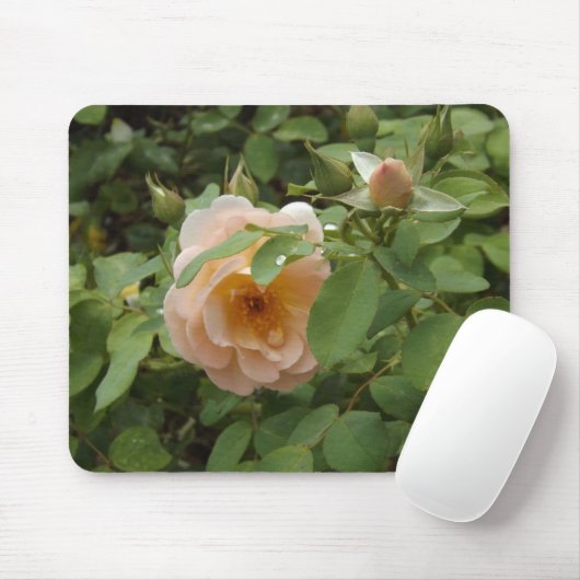 Rosa Rose Mousepad (Mit Mouse)