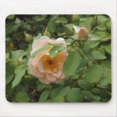 Rosa Rose Mousepad (Vorne)