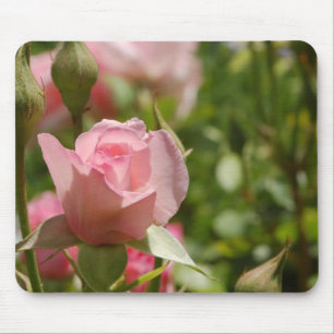 Rosa Rose Mousepad