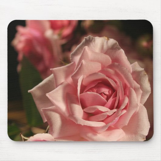 Rosa Rose Mousepad (Vorne)