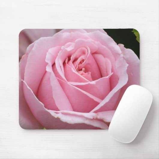 Rosa Rose Mousepad (Mit Mouse)