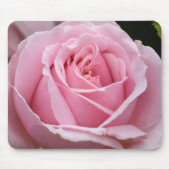 Rosa Rose Mousepad (Vorne)