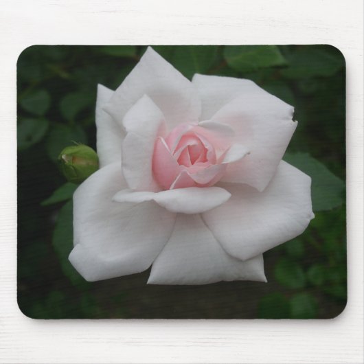 Rosa Rose Mousepad (Vorne)
