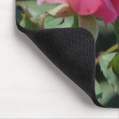 Rosa Rose Mousepad (Ecke)