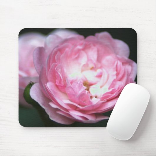 Rosa Rose Mousepad! Mousepad (Mit Mouse)
