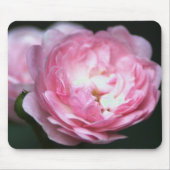 Rosa Rose Mousepad! Mousepad (Vorne)