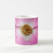 Rosa Rose nach oben nah Kaffeetasse (Mittel)