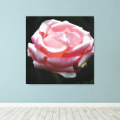 Rosa Rose Nah-up 2 Leinwanddruck (Insitu (Holzboden))