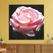 Rosa Rose Nah-up 2 Leinwanddruck (Insitu (Wohnzimmer))