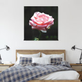 Rosa Rose Nah-up Leinwanddruck (Insitu (Schlafzimmer))