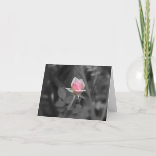 Rosa Rose NoteCard (freier Raum nach innen) Karte
