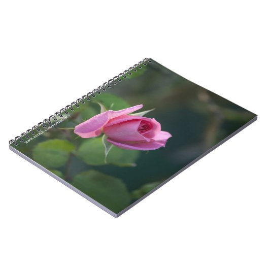 Rosa Rose Notizblock (Linke Seite)